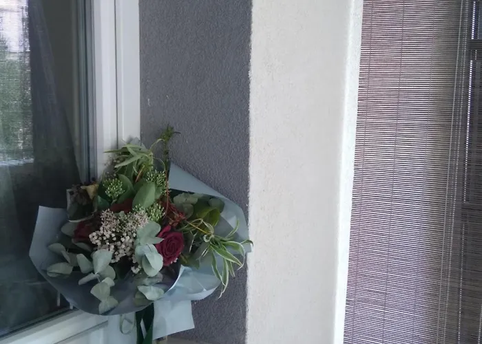 Hortenzija * Baška Voda
