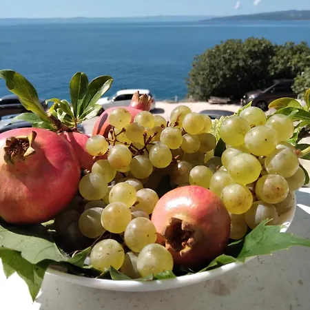Appartamento Hortenzija Baška Voda