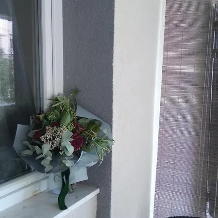 Hortenzija * Baška Voda